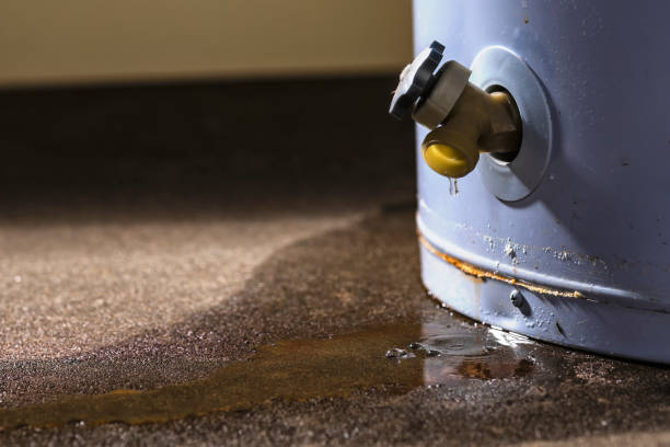 Best 24/7 water damage repair  in Cassville, WV