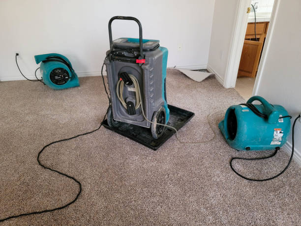 Best Water damage restoration process  in Cassville, WV