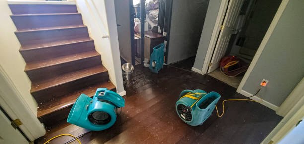Best Water damage restoration insurance claims  in Cassville, WV