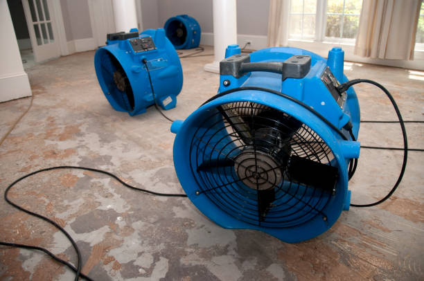 Best Sewage cleanup and water damage restoration  in Cassville, WV