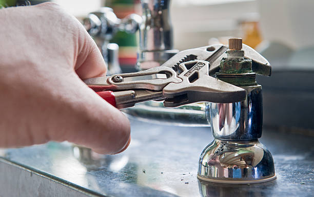 Best Professional water damage repair  in Cassville, WV