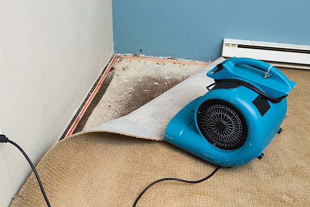 Best Carpet water damage restoration  in Cassville, WV