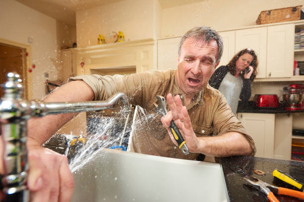 Best Water damage cleanup near me  in Cassville, WV